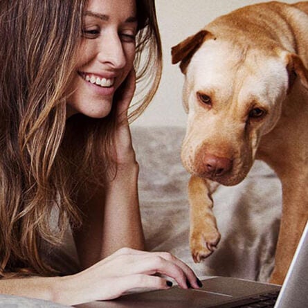kvinde og hund kigger på computer