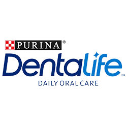 Dentalife