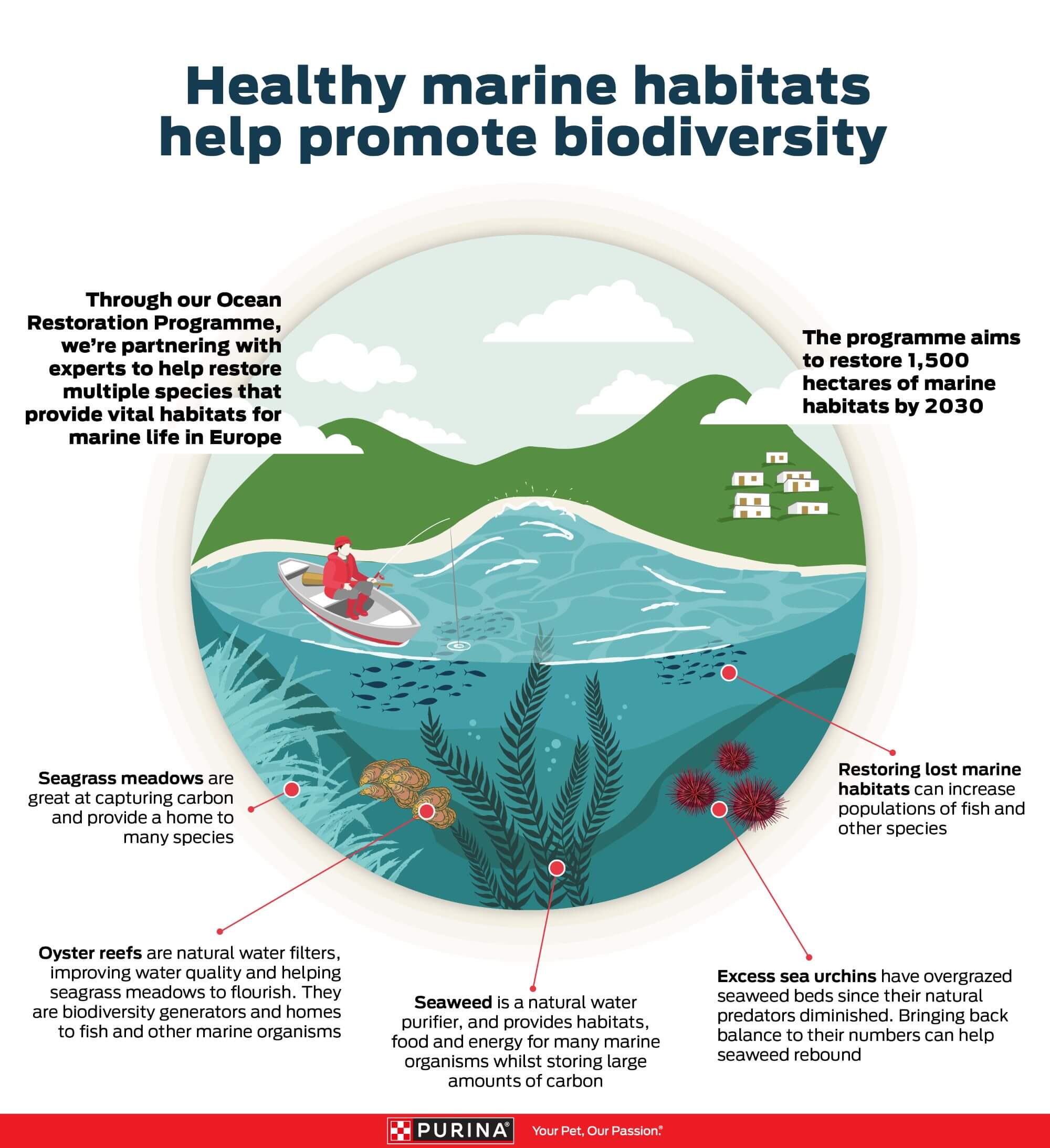 Infografikk om restaurering av havet