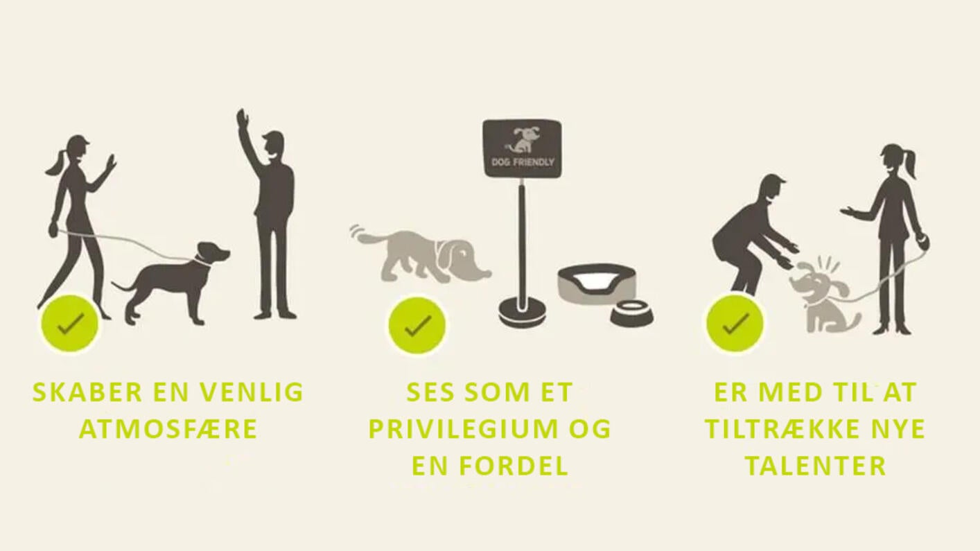 Husdjur på jobbet infographic