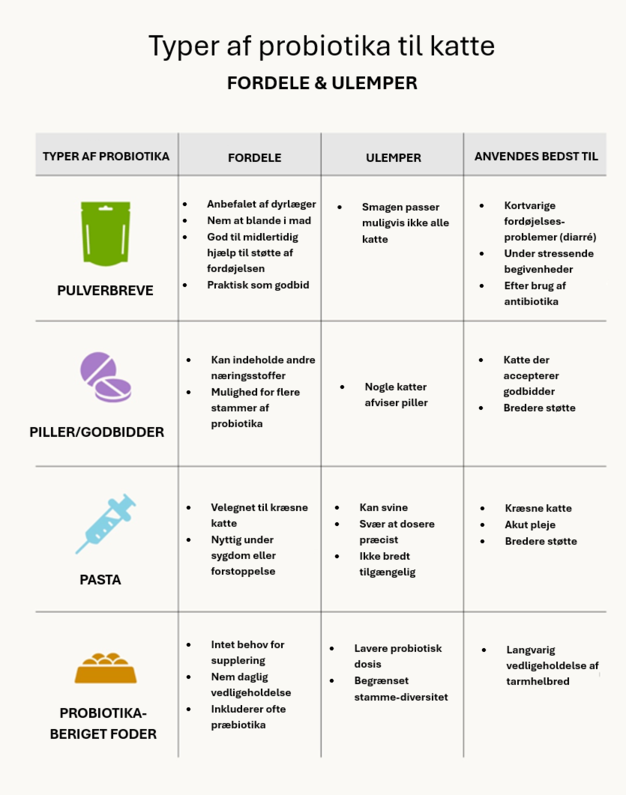infografik