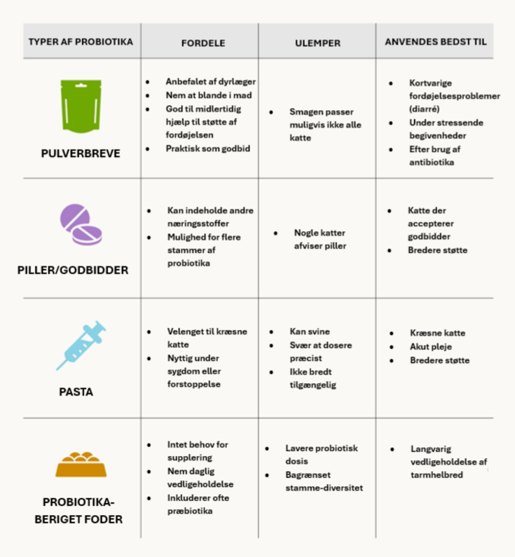 infografik