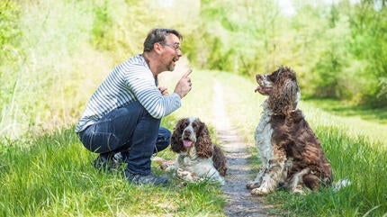 Ejer træner hunde udenfor