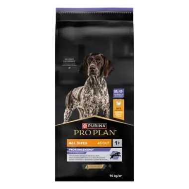 PURINA PRO PLAN All Sizes Adult Dog Protein & Energy Rig på kylling
