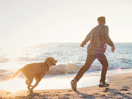Mand og hund løber på stranden