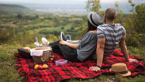 Par, der holder picnic