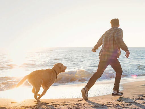 Mand og hund løber på stranden