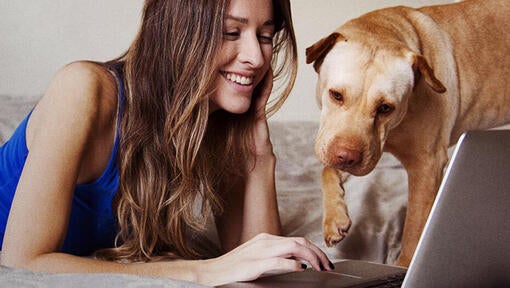 Kvinde og hund ved bærbar computer