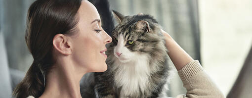 kvinde kæler for sin kat