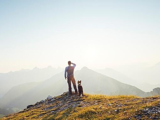 Vores tidligere 10 Purina in Society-forpligtelser