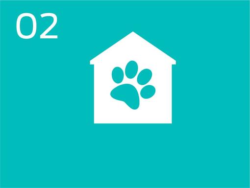 Infografik om kæledyrs fodaftryk og hus