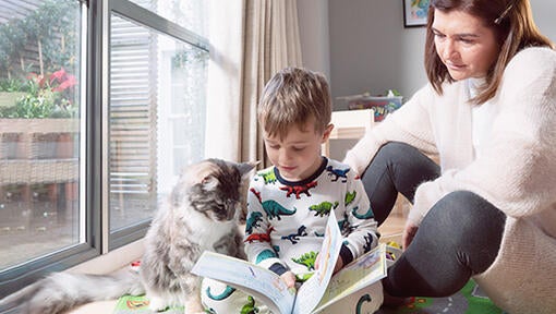 Dreng med kat læser bog