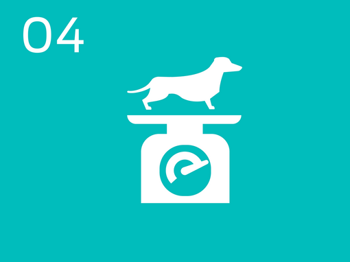 04 Infografik om hunde på en skala