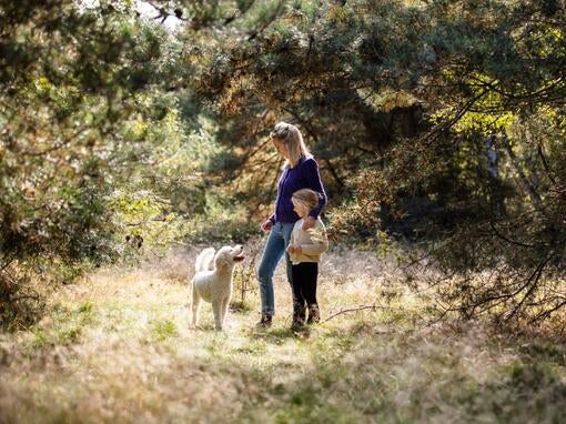 Kvinde med 2 hunde ved havet