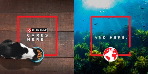 Purina Cares banner