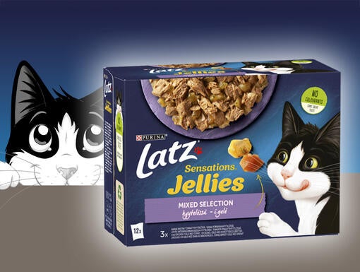 LATZ Sensations
