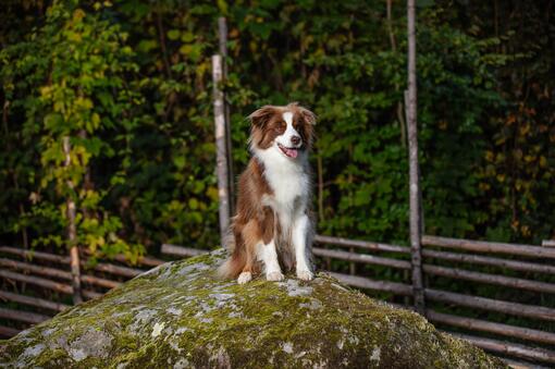 Vores velgørenhedsarbejde