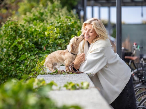 Kvindens hånd mod hundens pote