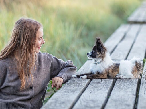 Råd til pleje af dit kæledyr