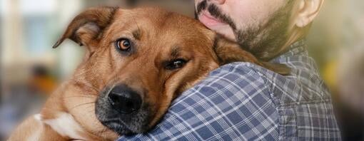Sådan hjælper du din hund med separationsangst