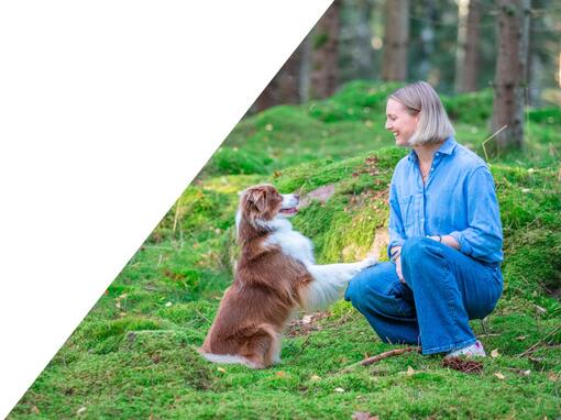 kvinde sidder med hund på grønt græs