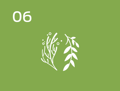 Infografisk planter
