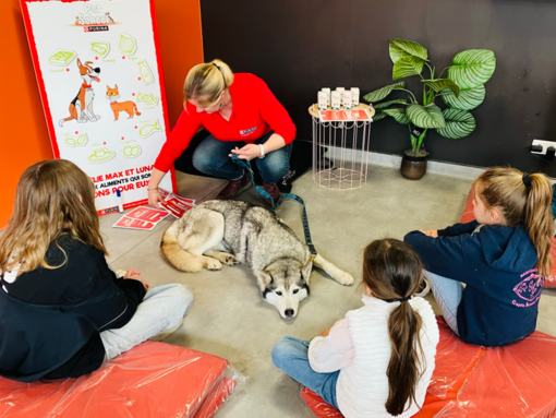 PECCRAM Pet School Workshops i butikker