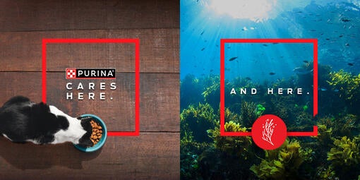 Purina Cares banner