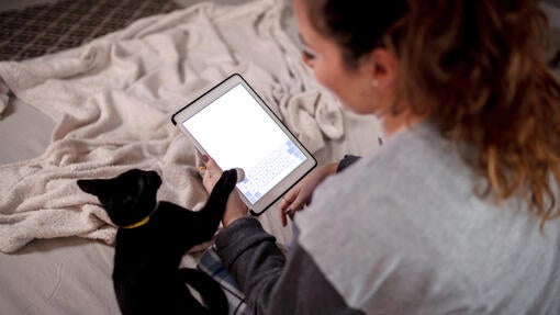 Smarte apps til dig og din kat