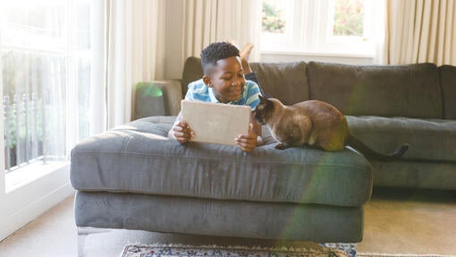 Smarte apps til dig og din hund