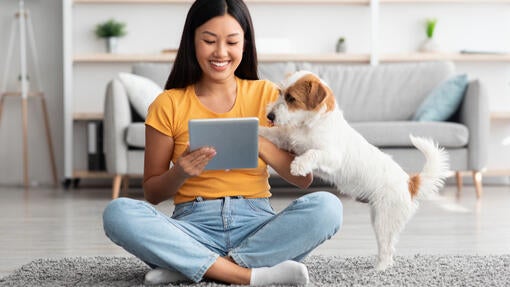 Smarte apps til dig og din hund